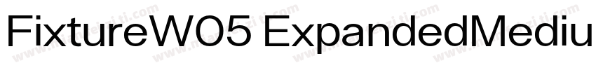 FixtureW05 ExpandedMedium Regular字体转换